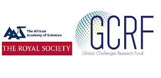 The Royal Society Future Leaders – African Independent Research (FLAIR) Fellowships [Up To £150,000 Grant Per Year]